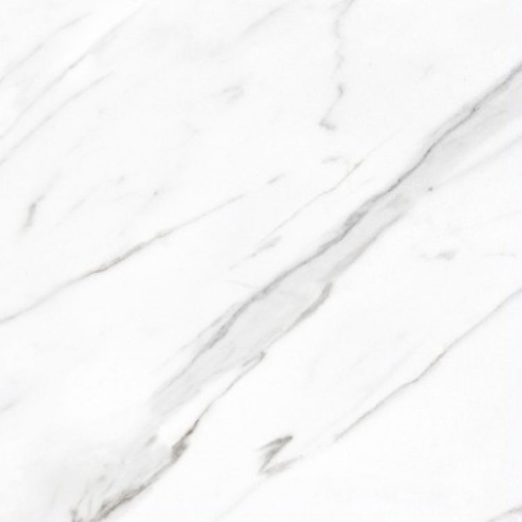 AGL Carrara Matte 24 x 24